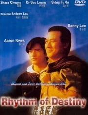 伴我纵横,探索人生旅程的智慧与勇气