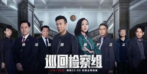 巡回检察组（DVD版）